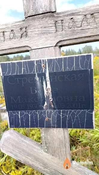 Стреминская Вера Максимовна