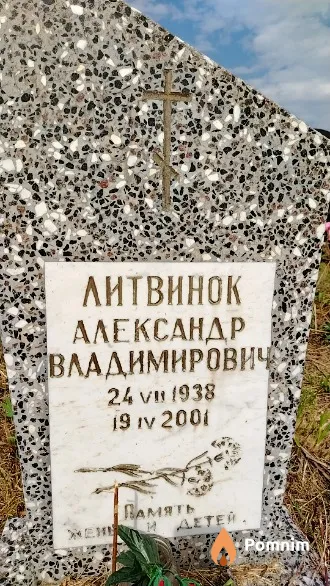 Литвинок Александр Владимирович