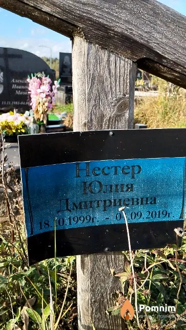 Нестер Юлия Дмитриевна