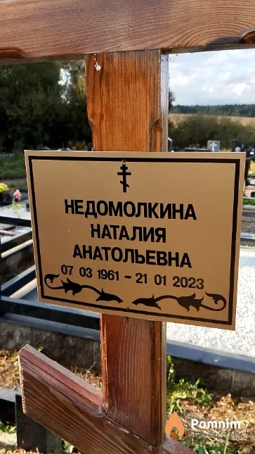 Недомолкина Наталия Анатольевна