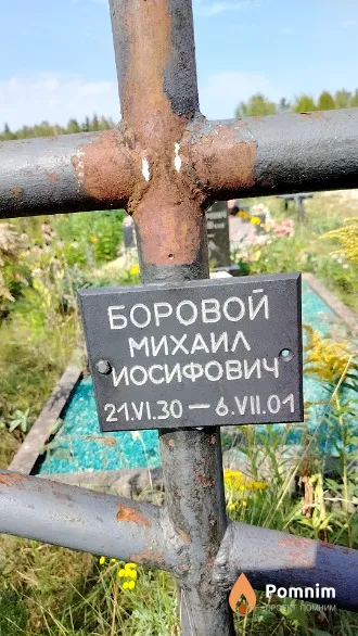 Боровой Михаил Иосифович