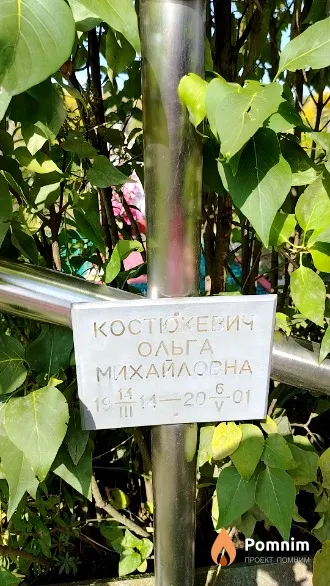 Костюкевич Ольга Михайловна