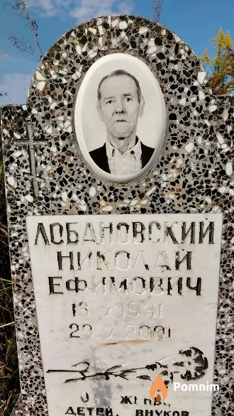 Лобановский Николай Ефимович