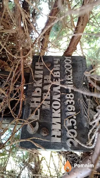 Сенькин Иван Николаевич