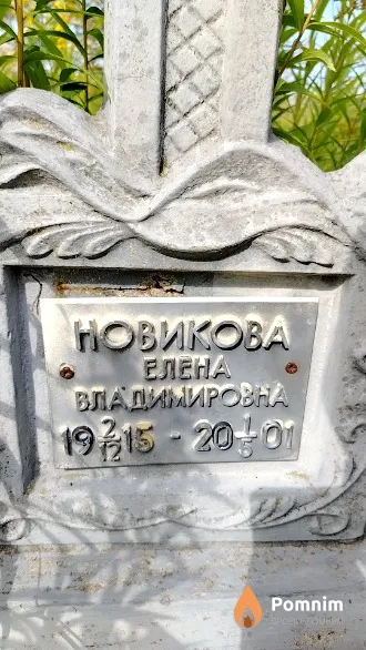 Новикова Елена Владимировна