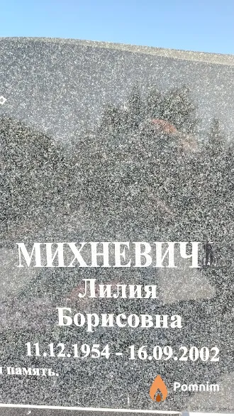 Михневич Лилия Борисовна