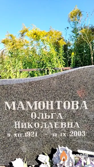 Мамонтова Ольга Николаевна