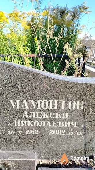 Мамонтов Алексей Николаевич
