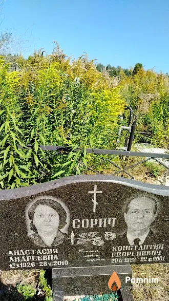 Сорич Анастасия Андреевна