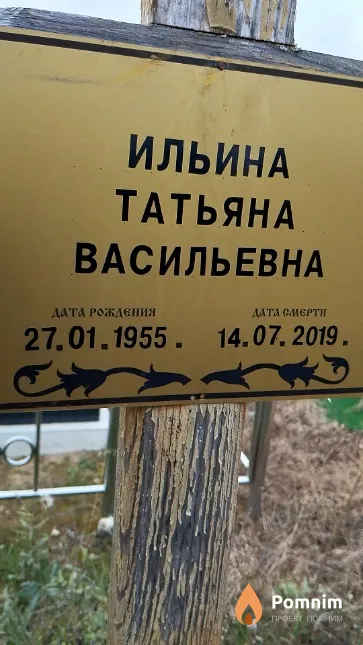 Ильина Татьяна Васильевна