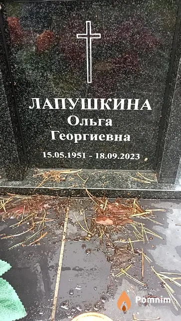 Лапушкина Ольга Георгиевна
