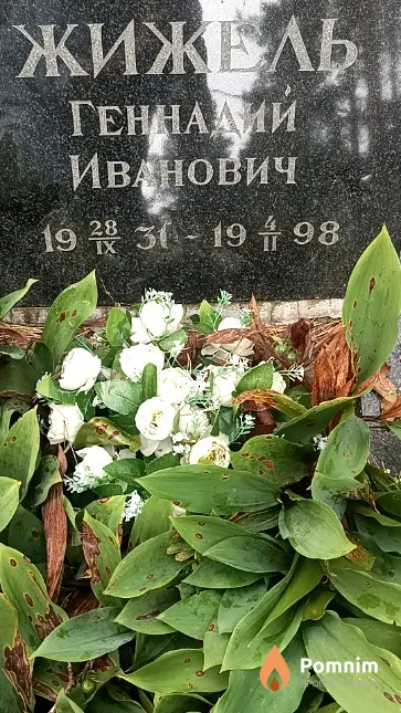 Жижель Геннадий Иванович