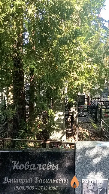 Ковалев Дмитрий Васильевич