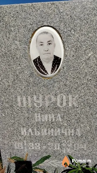 Шурок Нина Ильинична