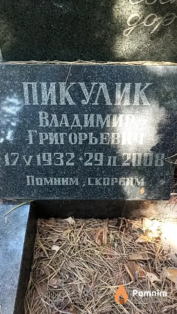 Пикулик Владимир Григорьевич