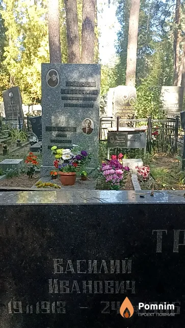 Трикиша Василий Иванович