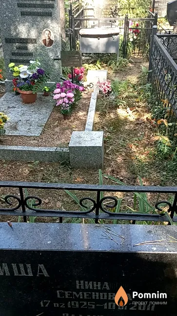 Трикиша Нина Семеновна