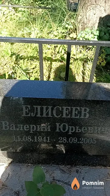 Елисеев Валерий Юрьевич