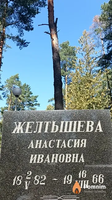 Желтышева Анастасия Ивановна