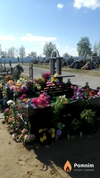 Чиж Сергей Владимирович
