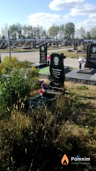 Тимофеев Владимир Савельевич