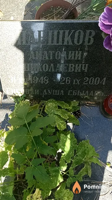 Плешков Анатолий Николаевич