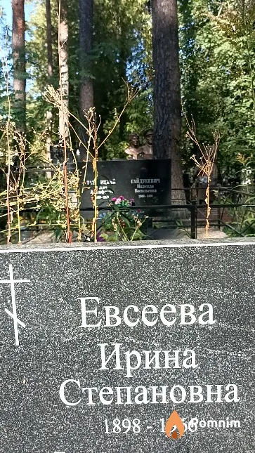 Евсеева Ирина Степановна
