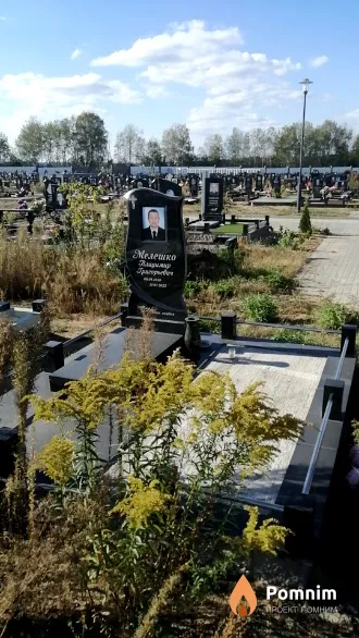 Мелешко Владимир Григорьевич