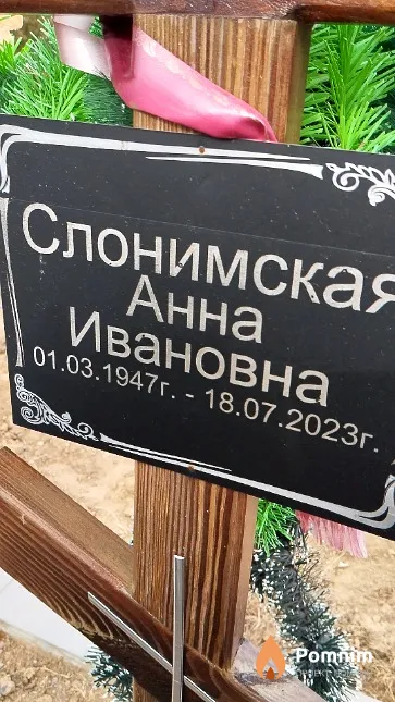 Слонимская Анна Ивановна