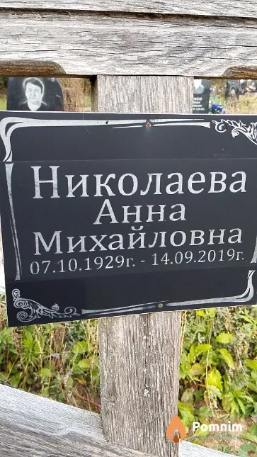 Николаева Анна Михайловна