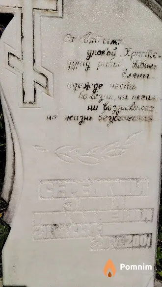 Середкина Элина Николаевна