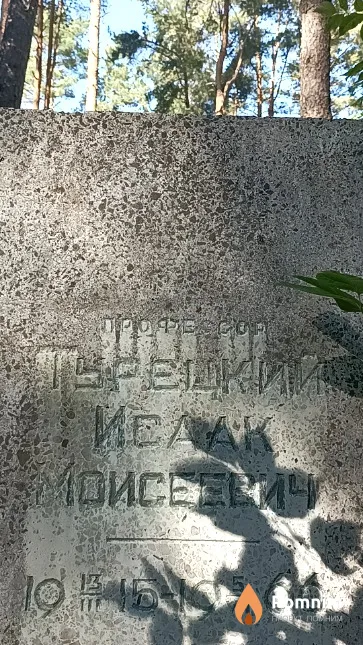 Турецкий Исаак Моисеевич
