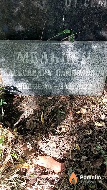 Мельцер Александра Самуиловна