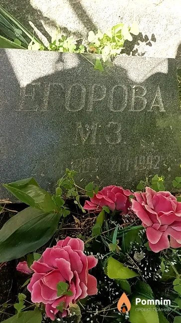 Егорова М. З.