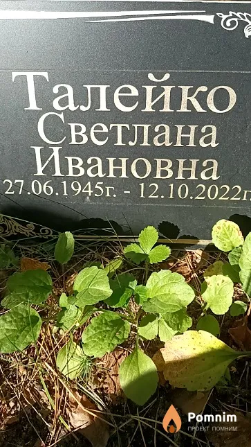 Талейко Светлана Ивановна