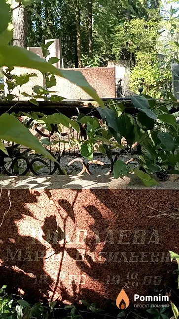 Николаева Мария Васильевна