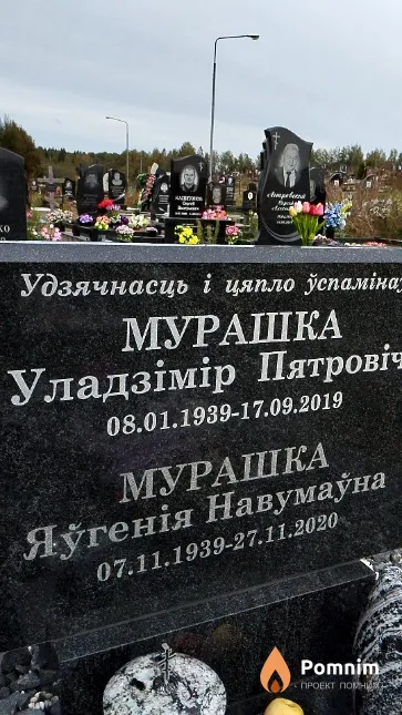 Мурашка У́ладзімір Пятровіч