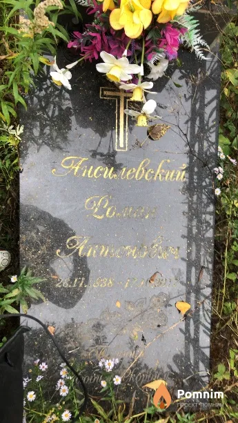 Ансилевский Роман Антонович
