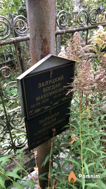 Залуцкая Люция Александровна