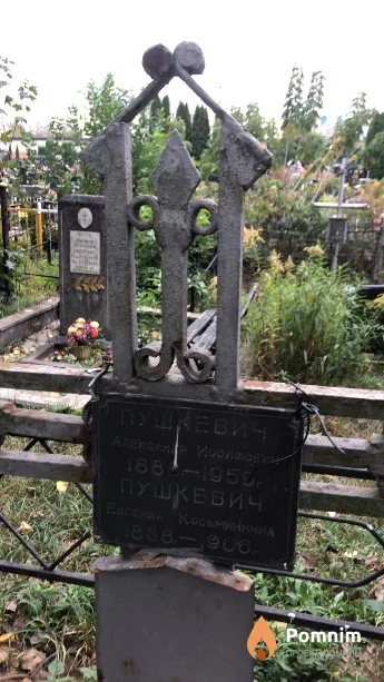 Пушкевич Александр Иосифович