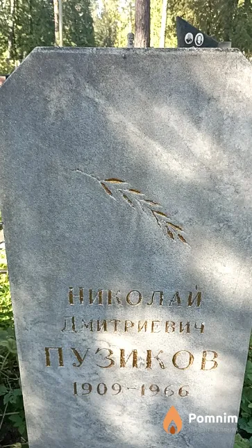 Пузиков Николай Дмитриевич
