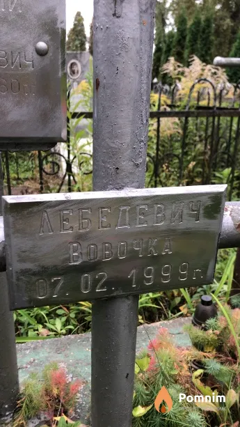 Лебедевич Вовочка