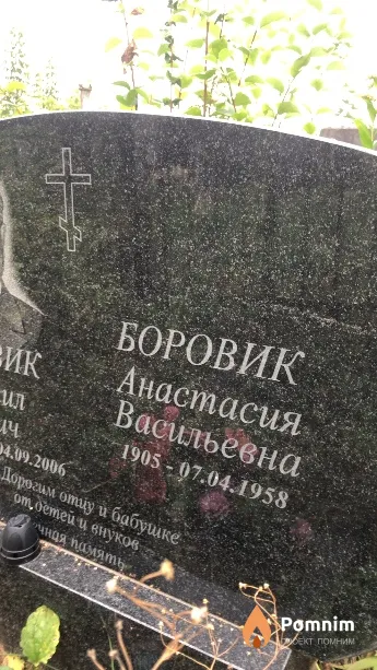 Боровик Анастасия Васильевна