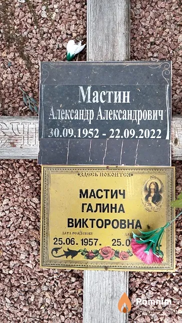 Мастин Александр Александрович
