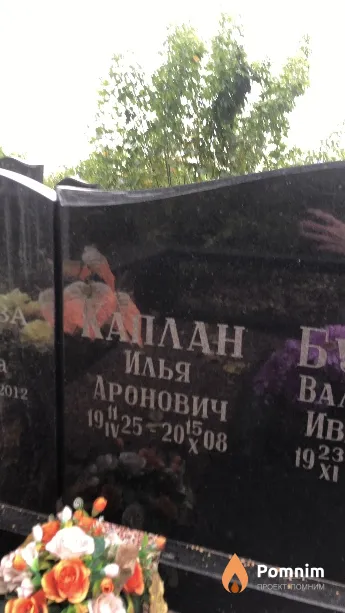 Каплан Илья Аронович