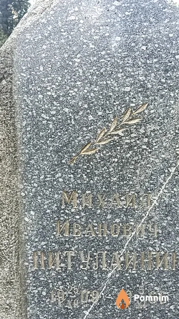 Питулаинин Михаил Иванович