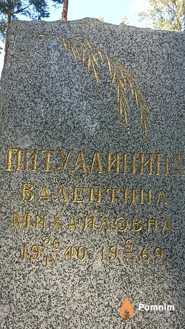 Питулаинина Валентина Михайловна