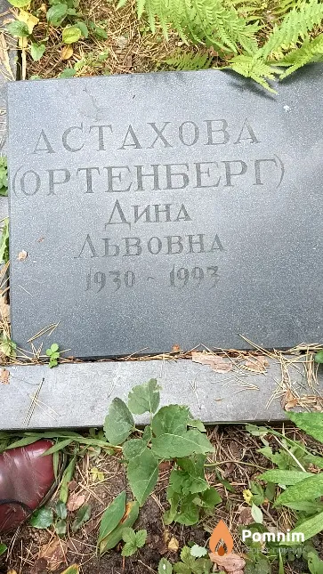 Астахова (Ортенберг) Дина Львовна
