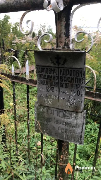 Карпович Владимир Викентьевич