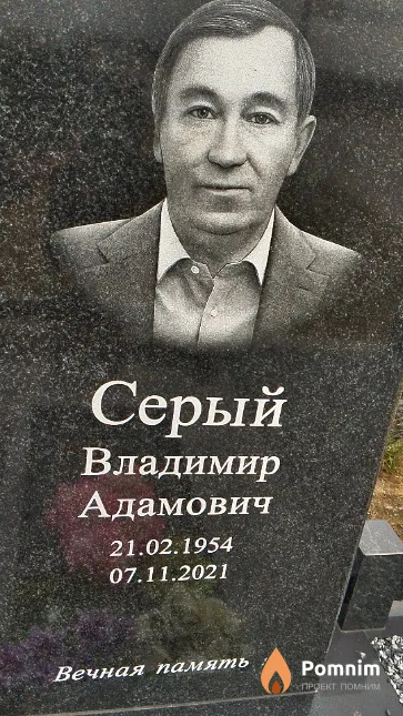 Серый Владимир Адамович